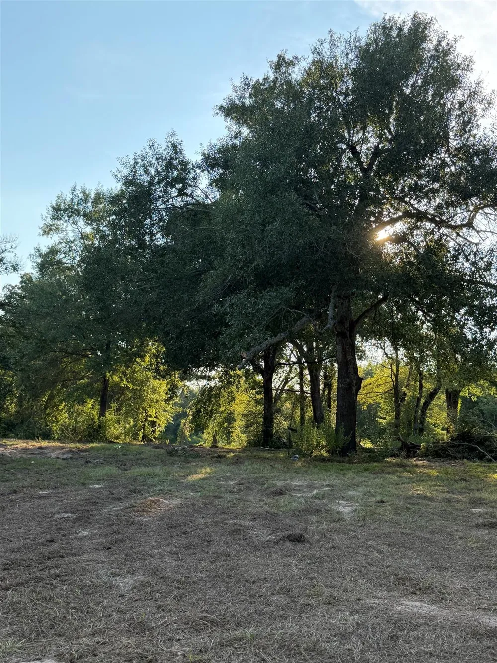 13701 Cr 349 Jewett, TX 75846