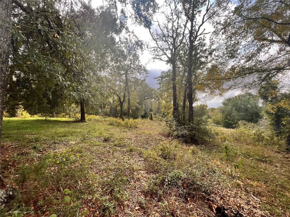 13701 Cr 349 Jewett, TX 75846