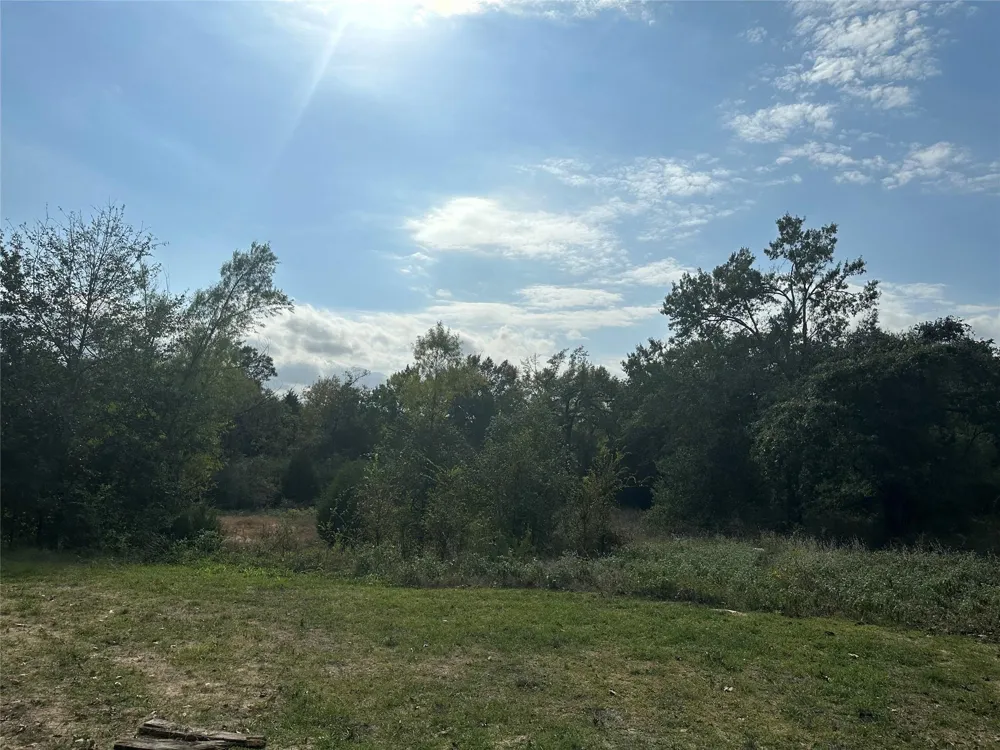 13701 Cr 349 Jewett, TX 75846