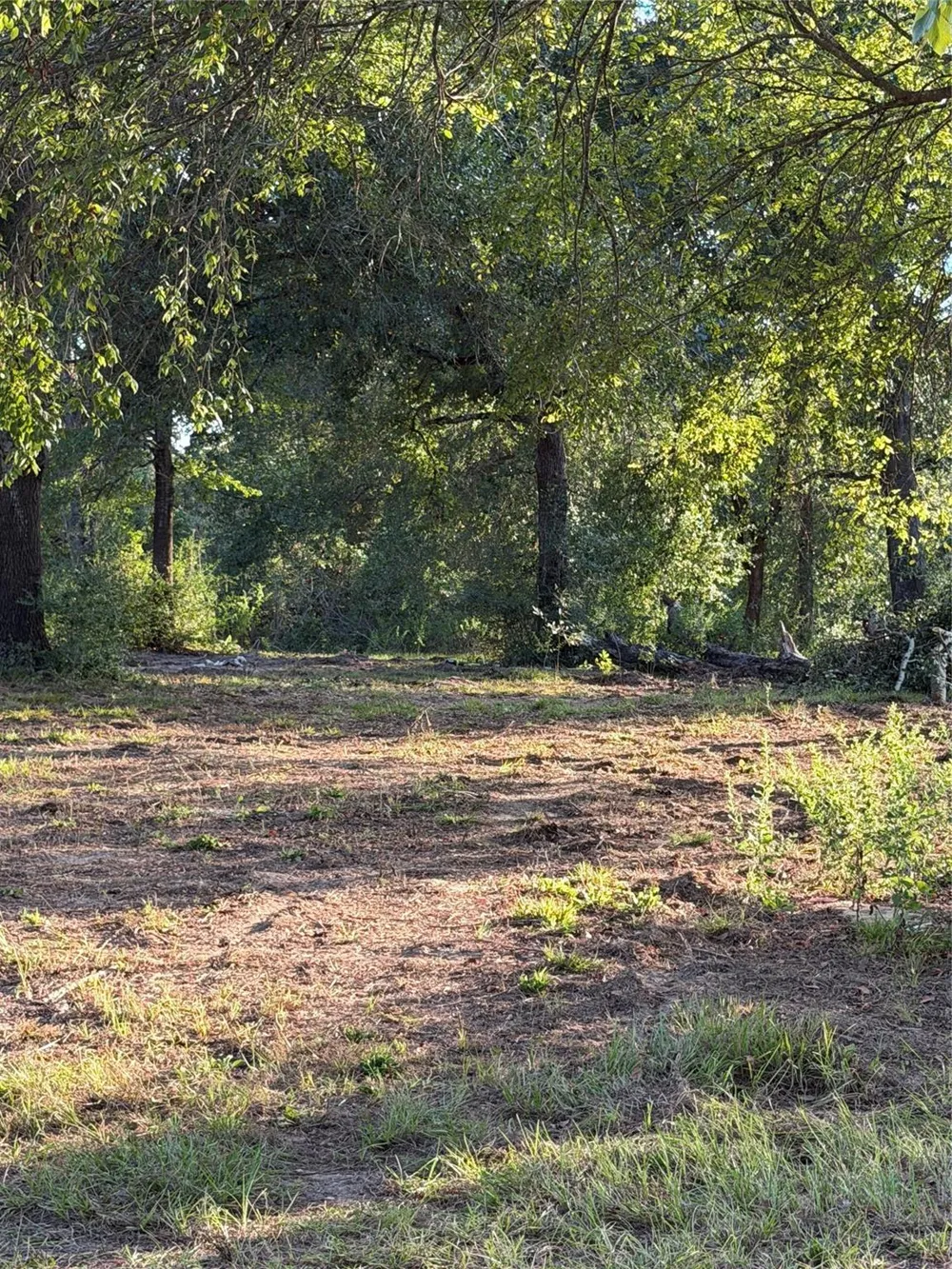 13701 Cr 349 Jewett, TX 75846