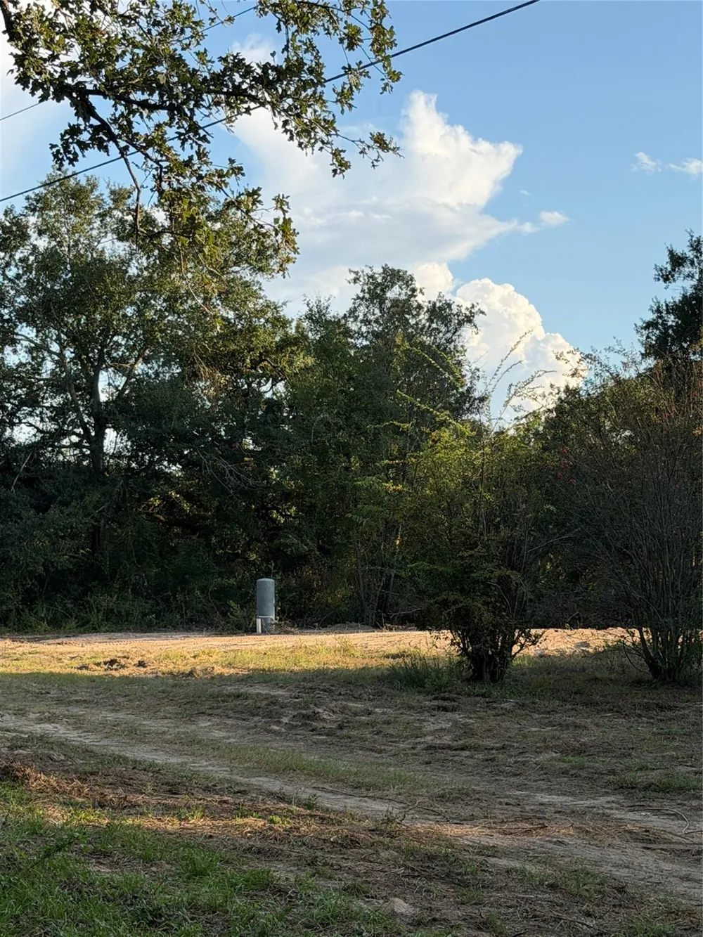 13701 Cr 349 Jewett, TX 75846