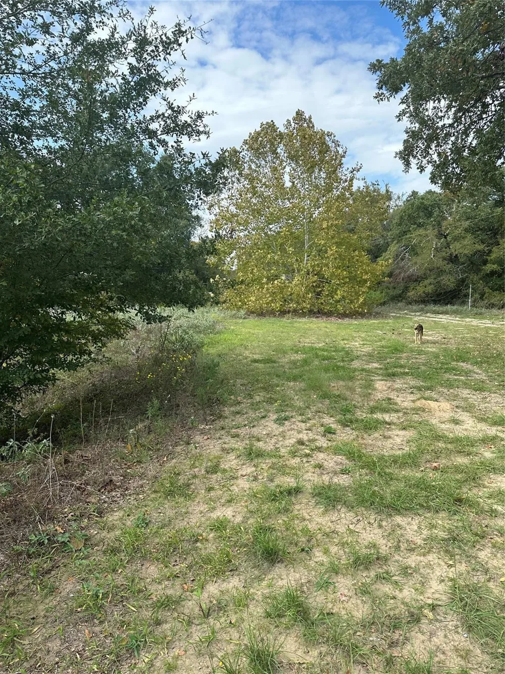 13701 Cr 349 Jewett, TX 75846
