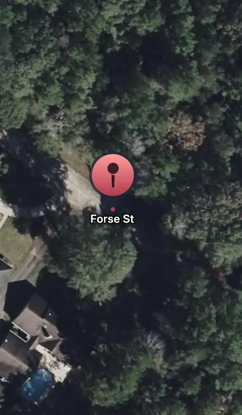 Forse Street