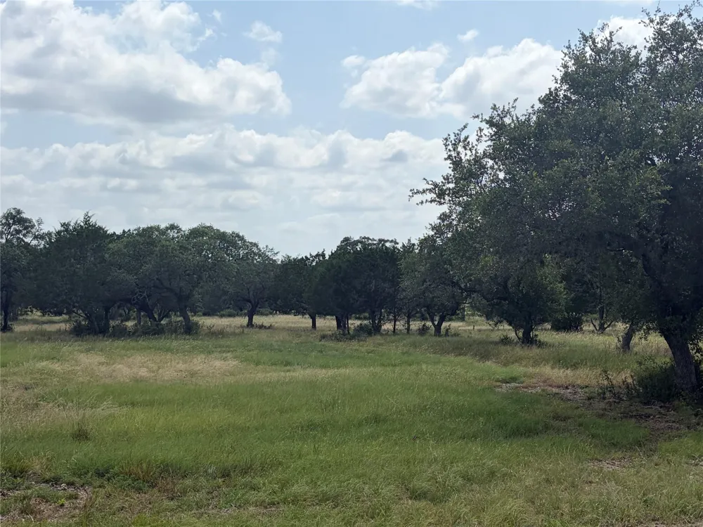 336 River Cliff Place Spring Branch, TX 78070