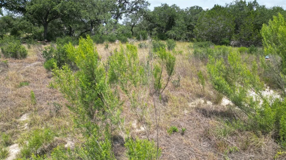 336 River Cliff Place Spring Branch, TX 78070