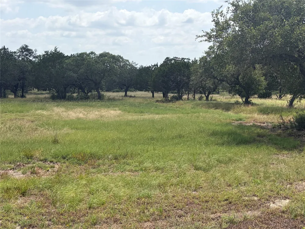 336 River Cliff Place Spring Branch, TX 78070
