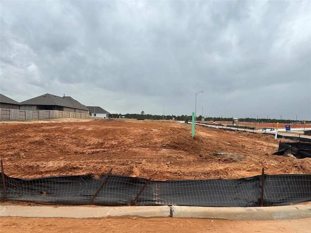3212 Summercrisp Hollow Lane Pearland, TX 77581