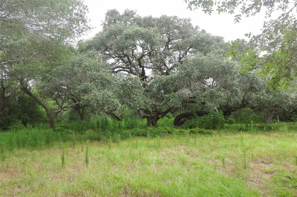 1340 Cr 253 Weimar, TX 78962