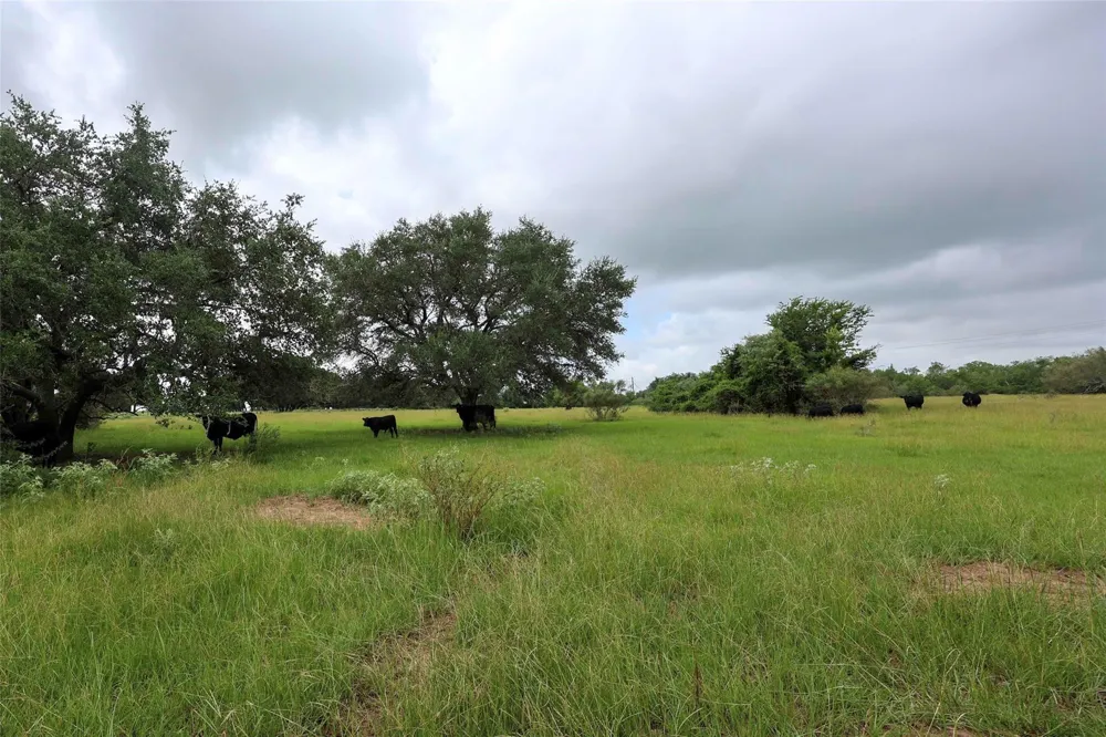 1340 Cr 253 Weimar, TX 78962