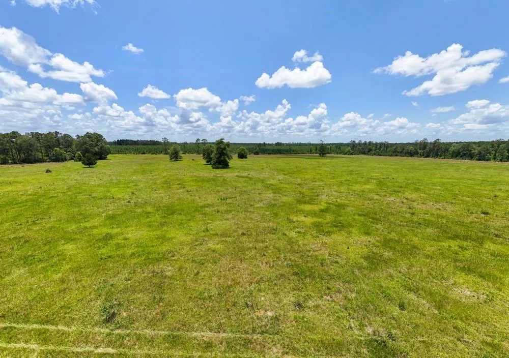 Cr 1450 Warren, TX 77664