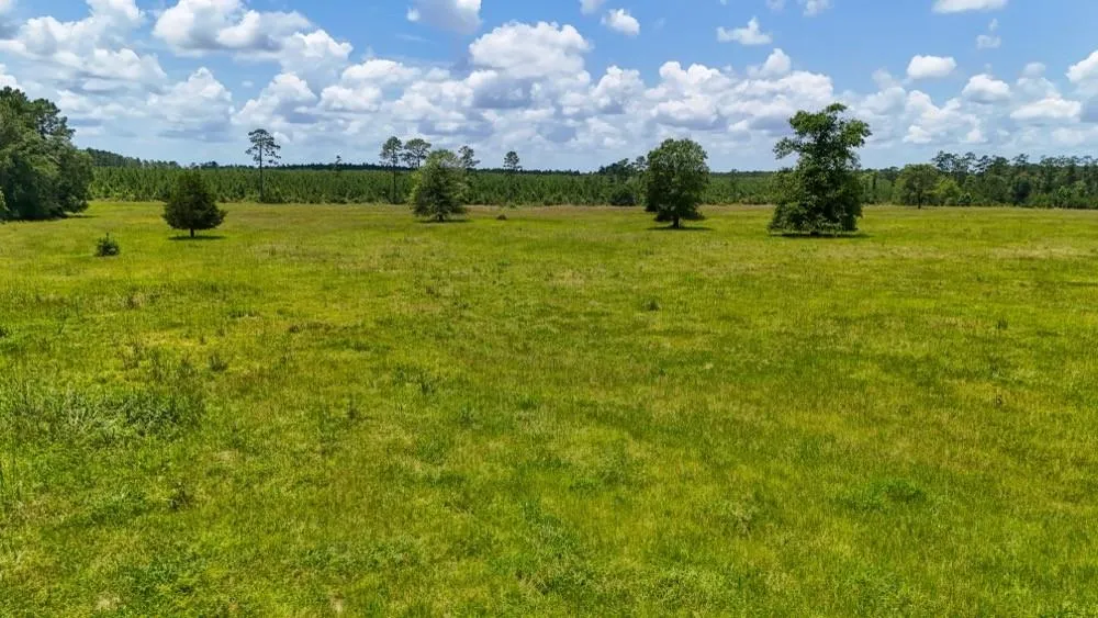 Cr 1450 Warren, TX 77664