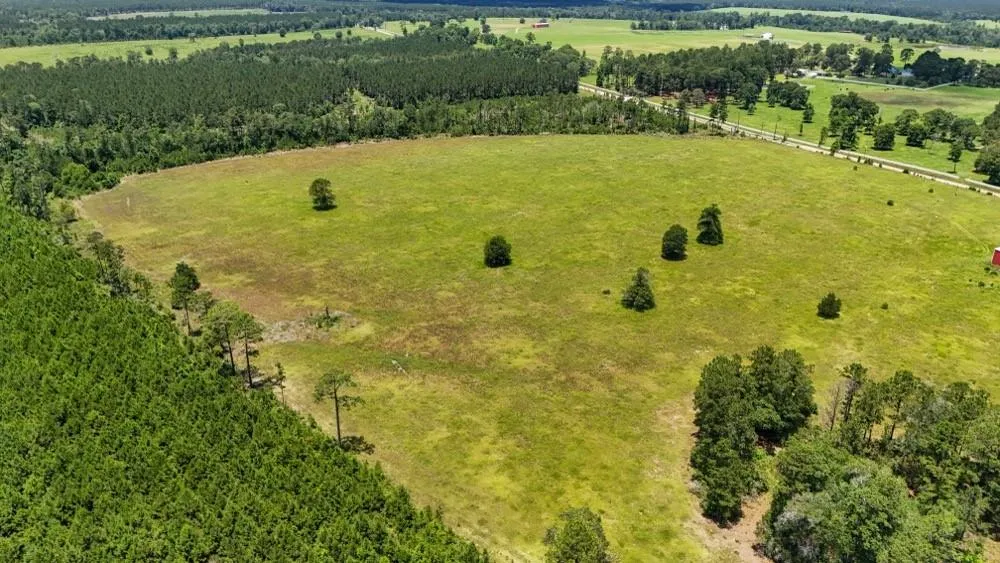 Cr 1450 Warren, TX 77664