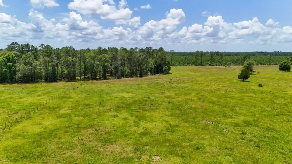 Cr 1450 Warren, TX 77664