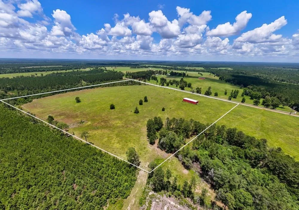Cr 1450 Warren, TX 77664