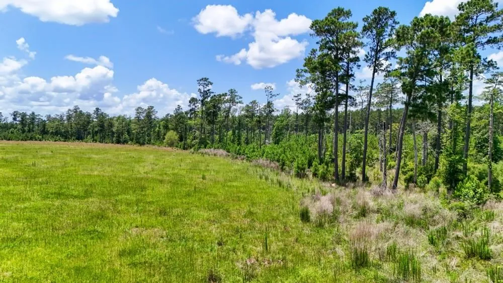 Cr 1450 Warren, TX 77664