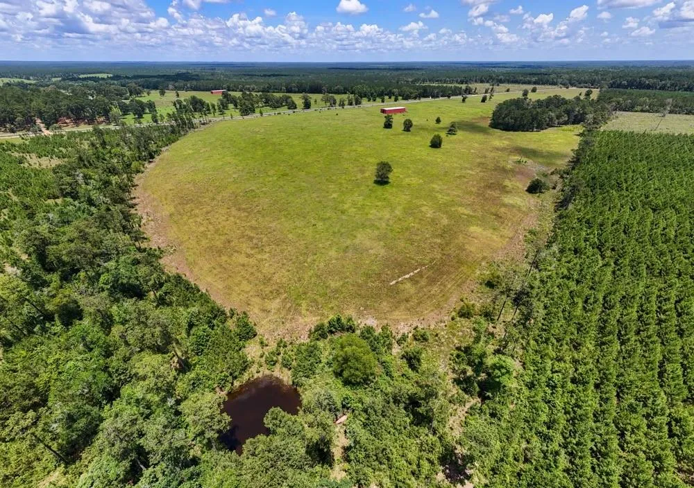 Cr 1450 Warren, TX 77664