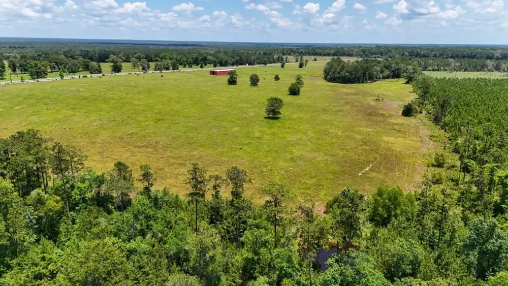 Cr 1450 Warren, TX 77664