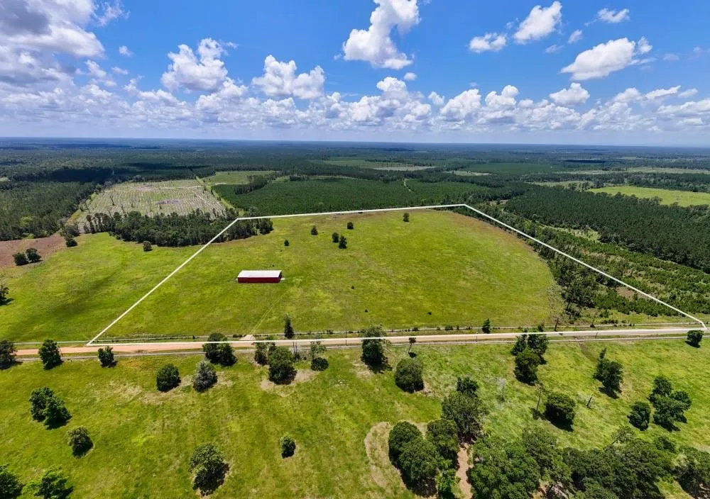 Cr 1450 Warren, TX 77664