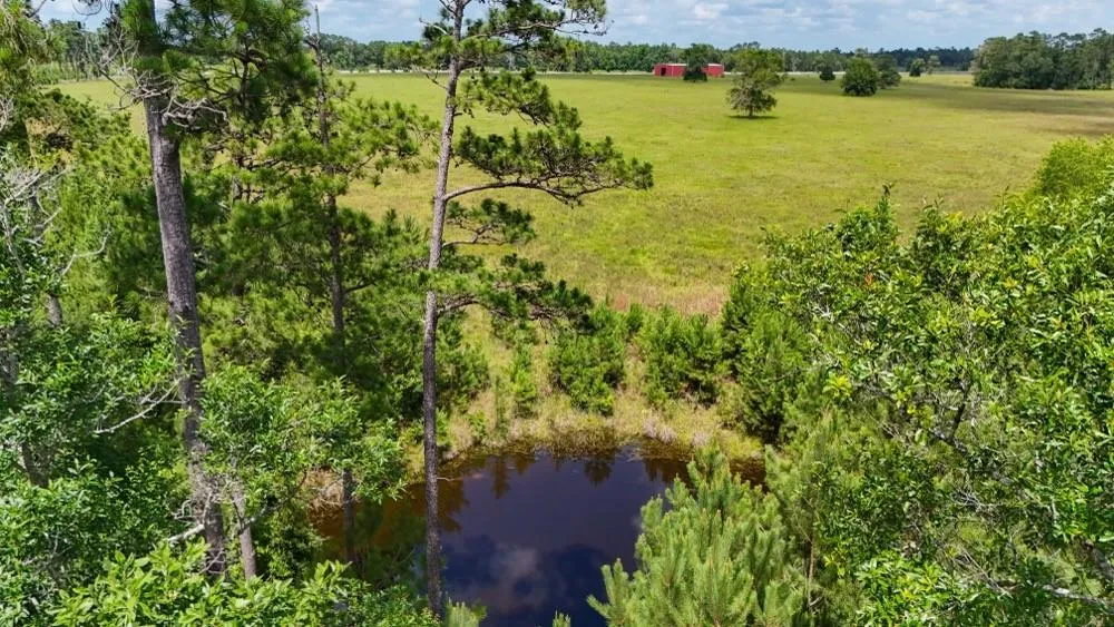 Cr 1450 Warren, TX 77664