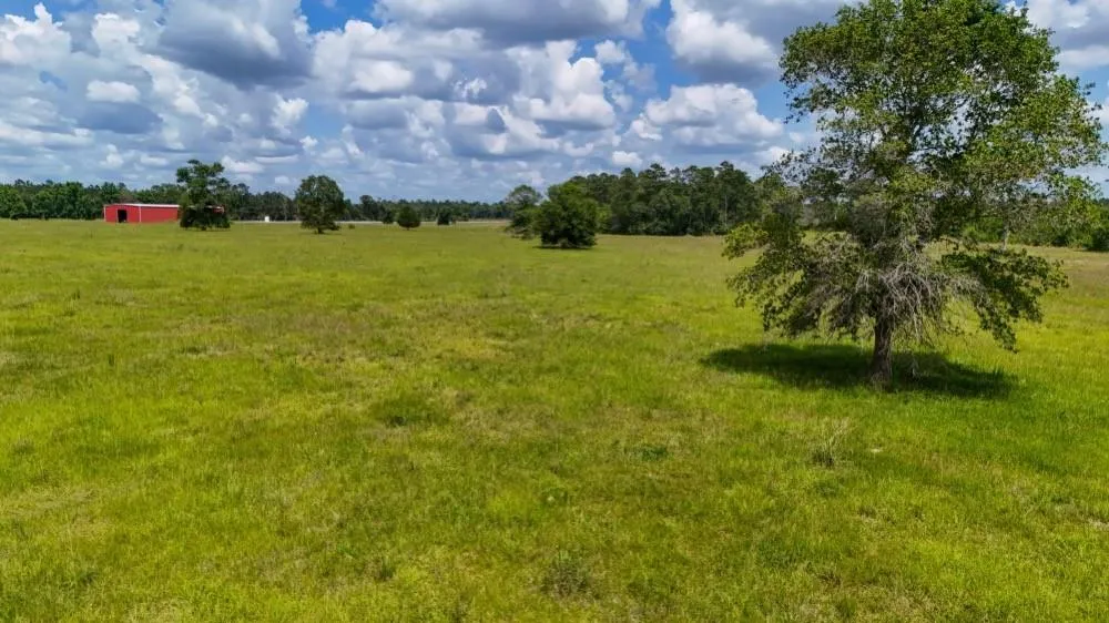 Cr 1450 Warren, TX 77664