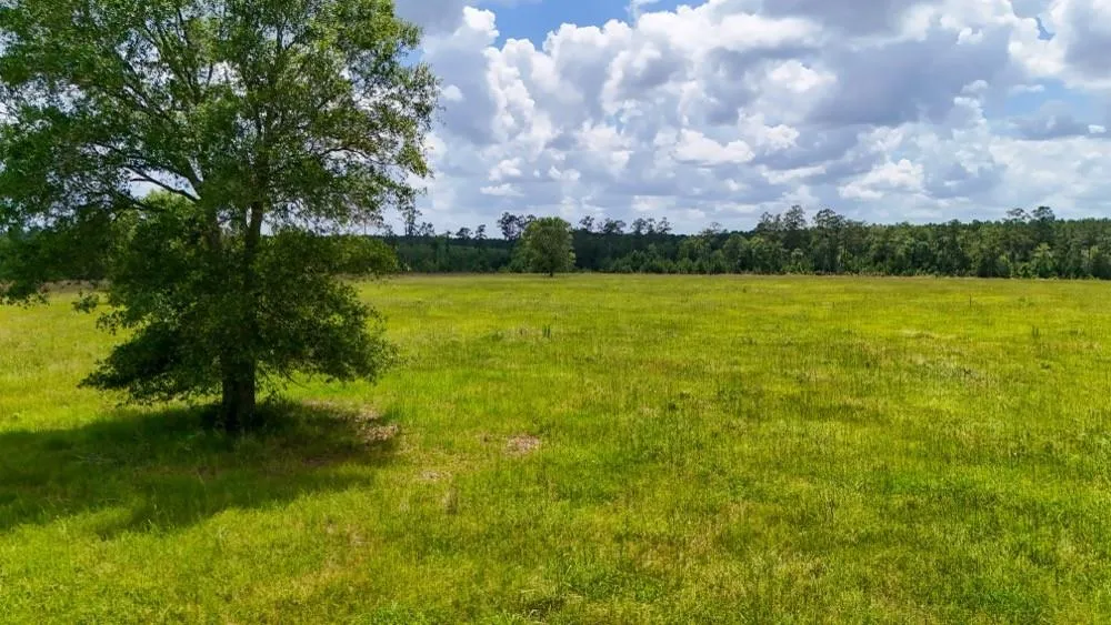 Cr 1450 Warren, TX 77664