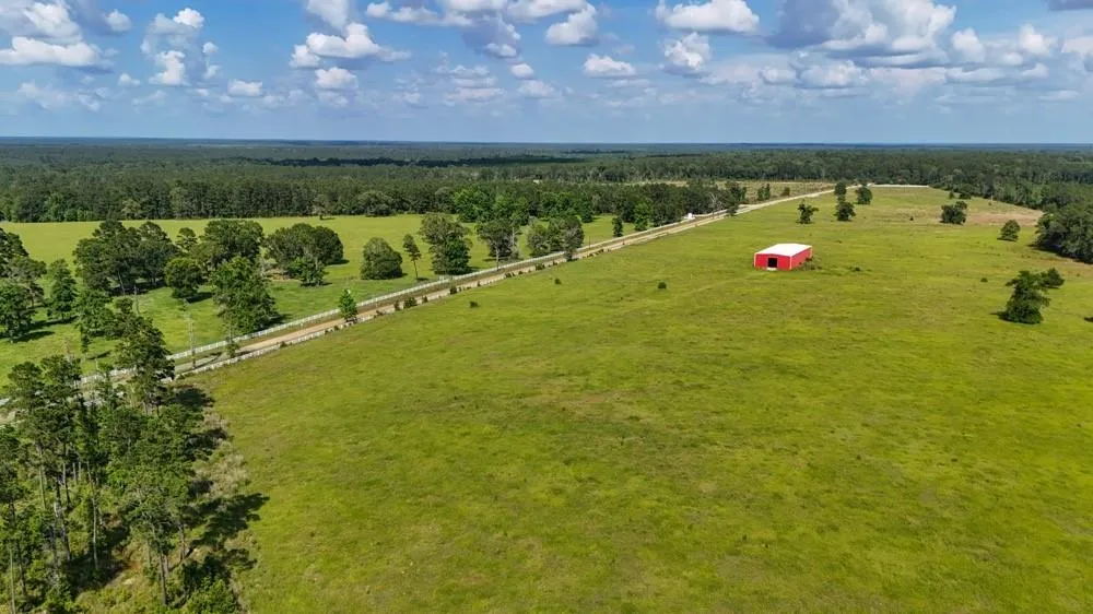 Cr 1450 Warren, TX 77664