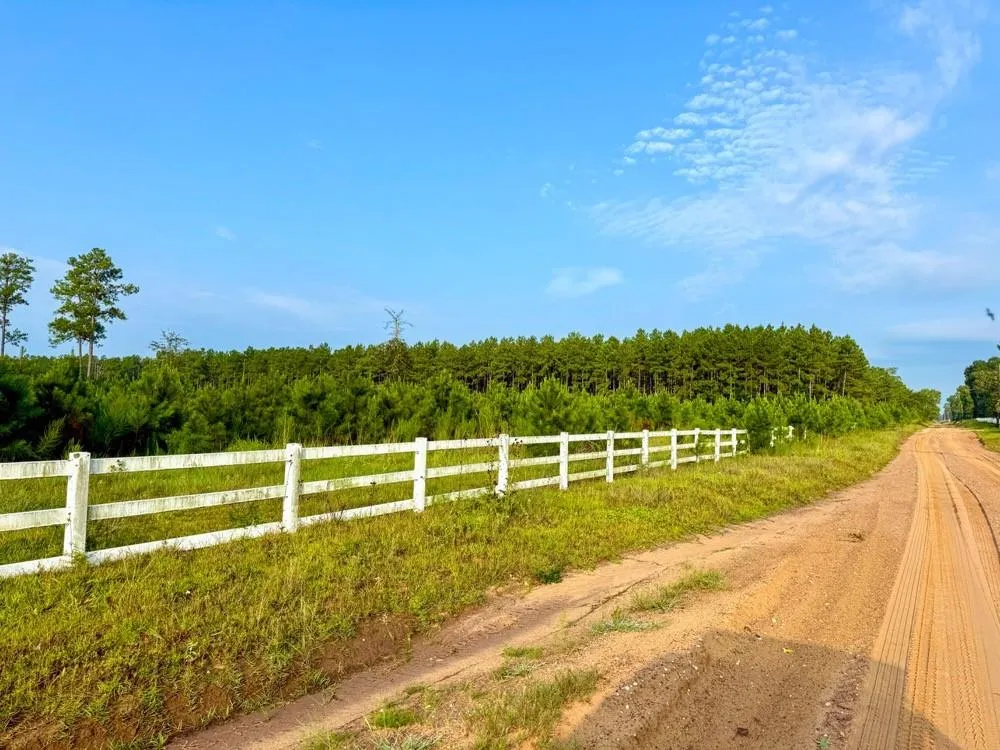 Cr 1450 Warren, TX 77664