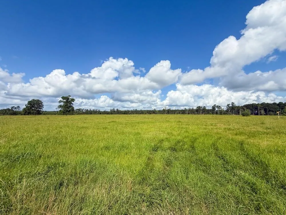 Cr 1450 Warren, TX 77664
