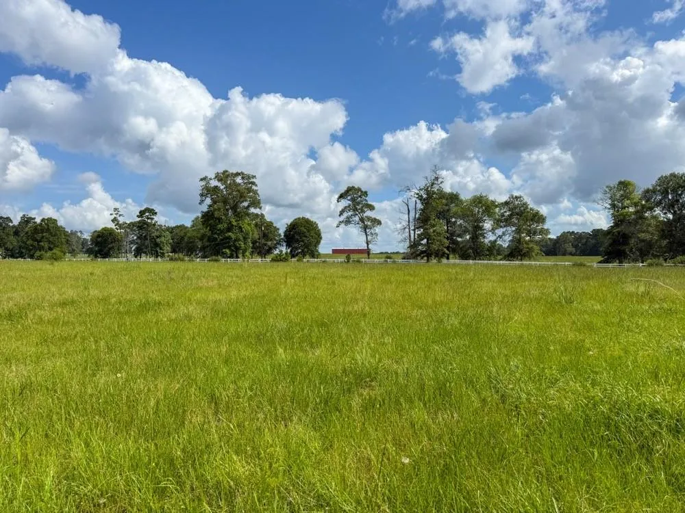 Cr 1450 Warren, TX 77664
