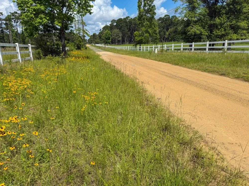 Cr 1450 Warren, TX 77664