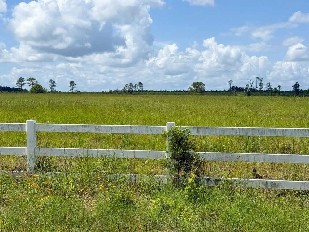 Cr 1450 Warren, TX 77664