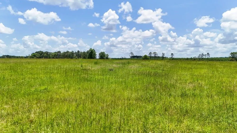 Cr 1450 Warren, TX 77664