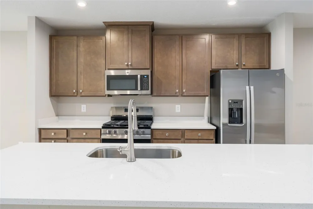 1183 TURTLE ISLAND ROAD Lady Lake, FL 32159