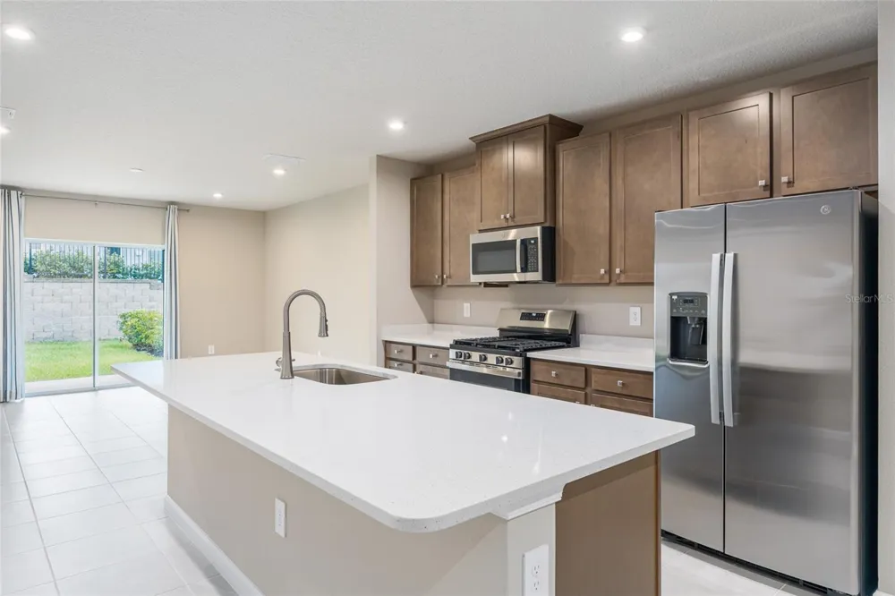 1183 TURTLE ISLAND ROAD Lady Lake, FL 32159