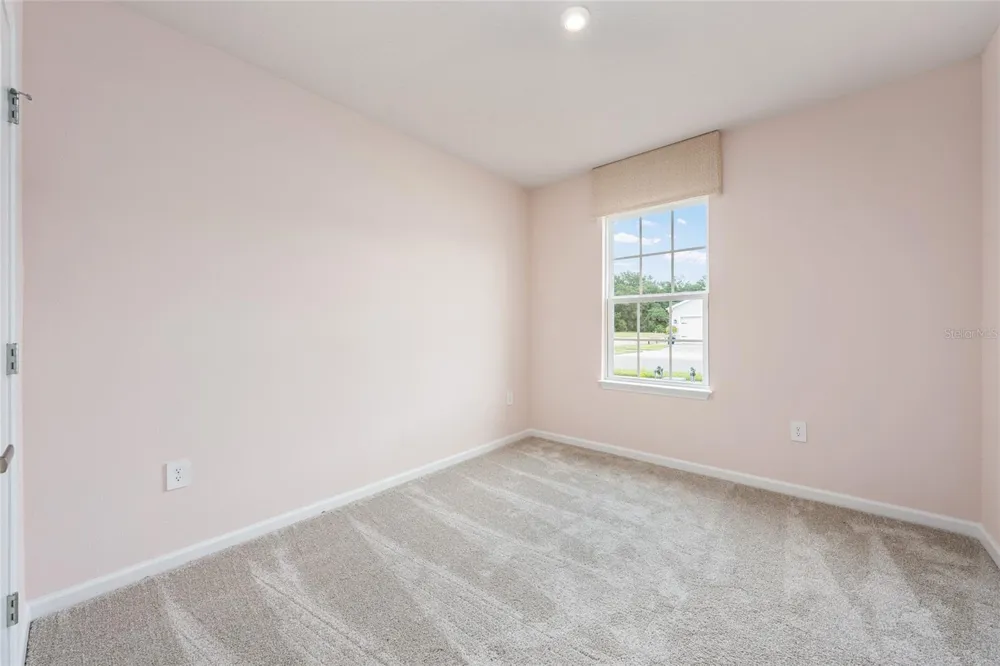 1183 TURTLE ISLAND ROAD Lady Lake, FL 32159