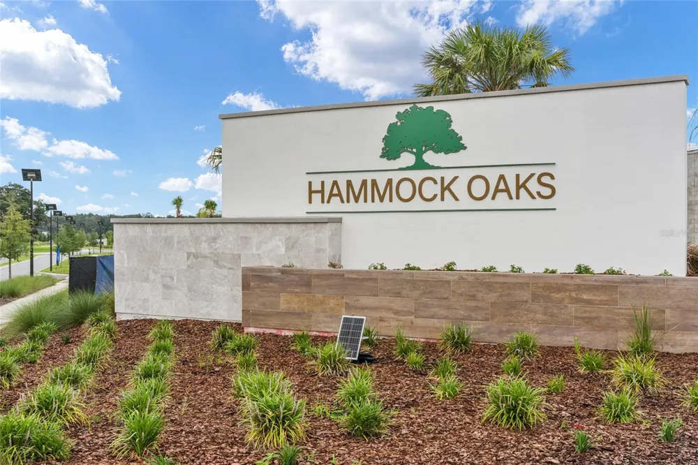 1183 TURTLE ISLAND ROAD Lady Lake, FL 32159