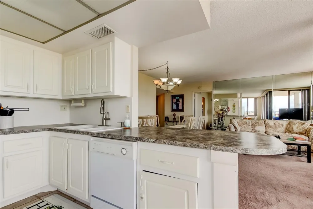 6218 PALMA DEL MAR BOULEVARD S #606 St Petersburg, FL 33715