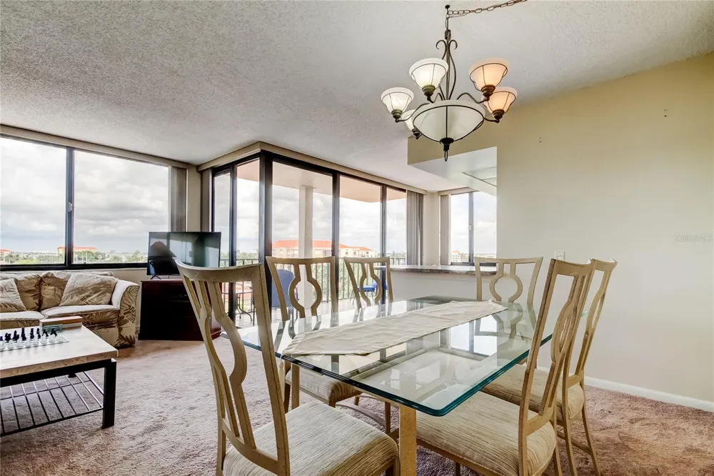 6218 PALMA DEL MAR BOULEVARD S #606 St Petersburg, FL 33715