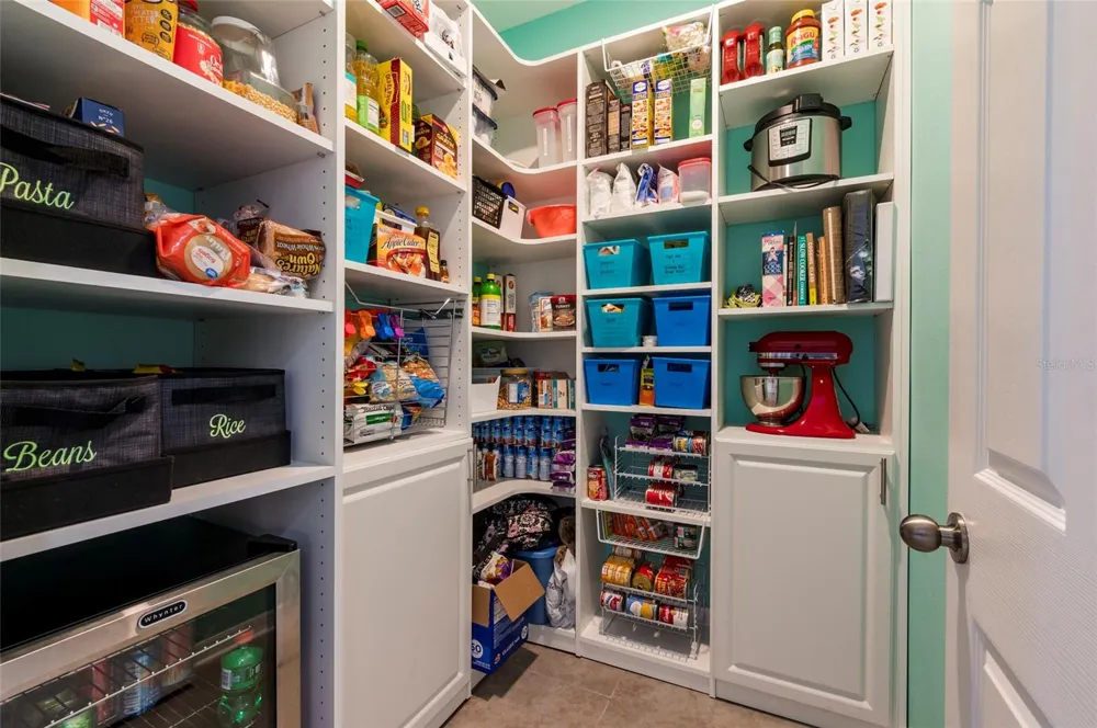 11420 AMAPOLA BLOOM COURT Riverview, FL 33579
