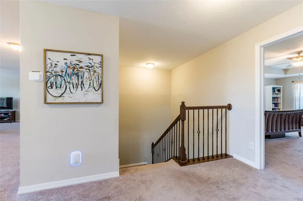 11420 AMAPOLA BLOOM COURT Riverview, FL 33579