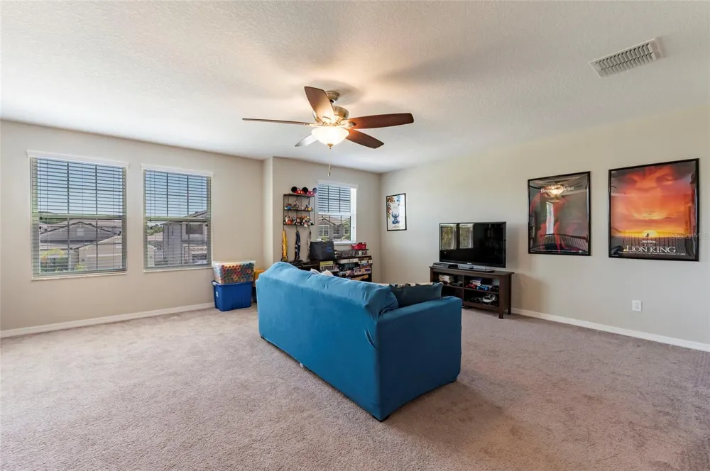 11420 AMAPOLA BLOOM COURT Riverview, FL 33579