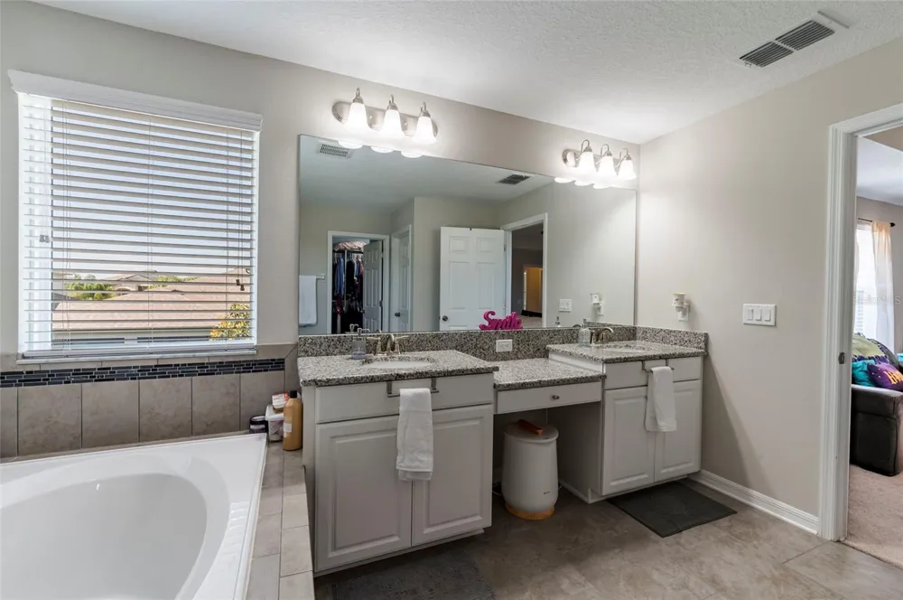 11420 AMAPOLA BLOOM COURT Riverview, FL 33579