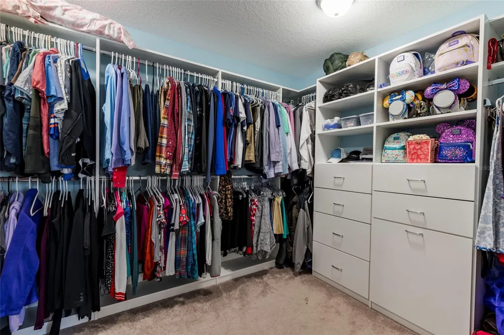 11420 AMAPOLA BLOOM COURT Riverview, FL 33579