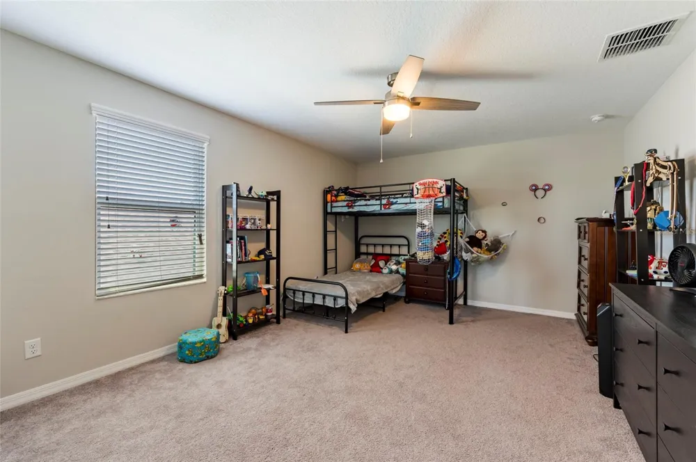 11420 AMAPOLA BLOOM COURT Riverview, FL 33579