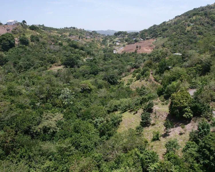 HACIENDA DE CIDRA, RABANAL PARCELA #32 Cidra, PR 00739