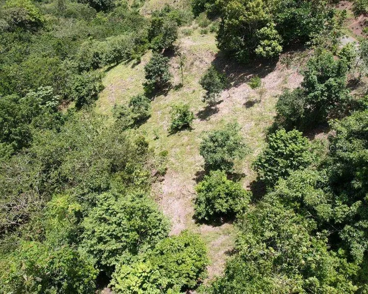 HACIENDA DE CIDRA, RABANAL PARCELA #32 Cidra, PR 00739