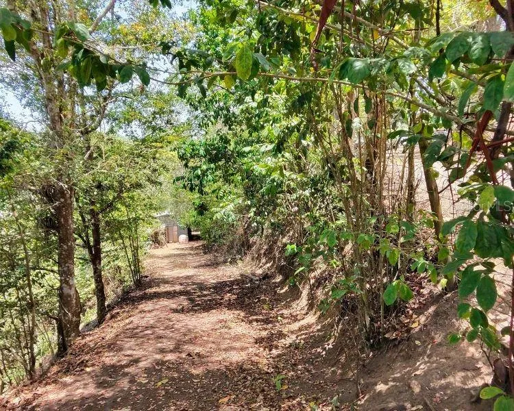 HACIENDA DE CIDRA, RABANAL PARCELA #32 Cidra, PR 00739
