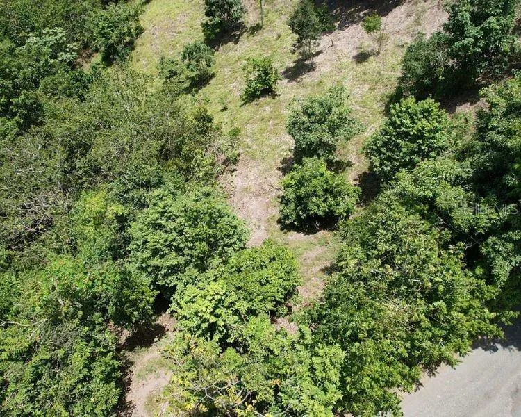 HACIENDA DE CIDRA, RABANAL PARCELA #32 Cidra, PR 00739