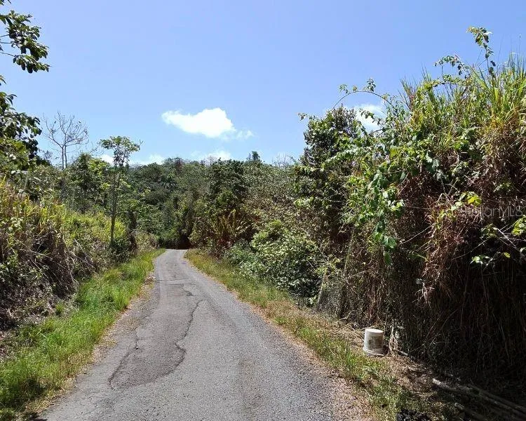 HACIENDA DE CIDRA, RABANAL PARCELA #32 Cidra, PR 00739