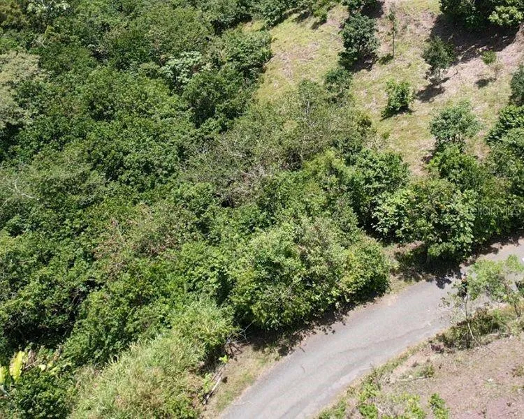 HACIENDA DE CIDRA, RABANAL PARCELA #32 Cidra, PR 00739